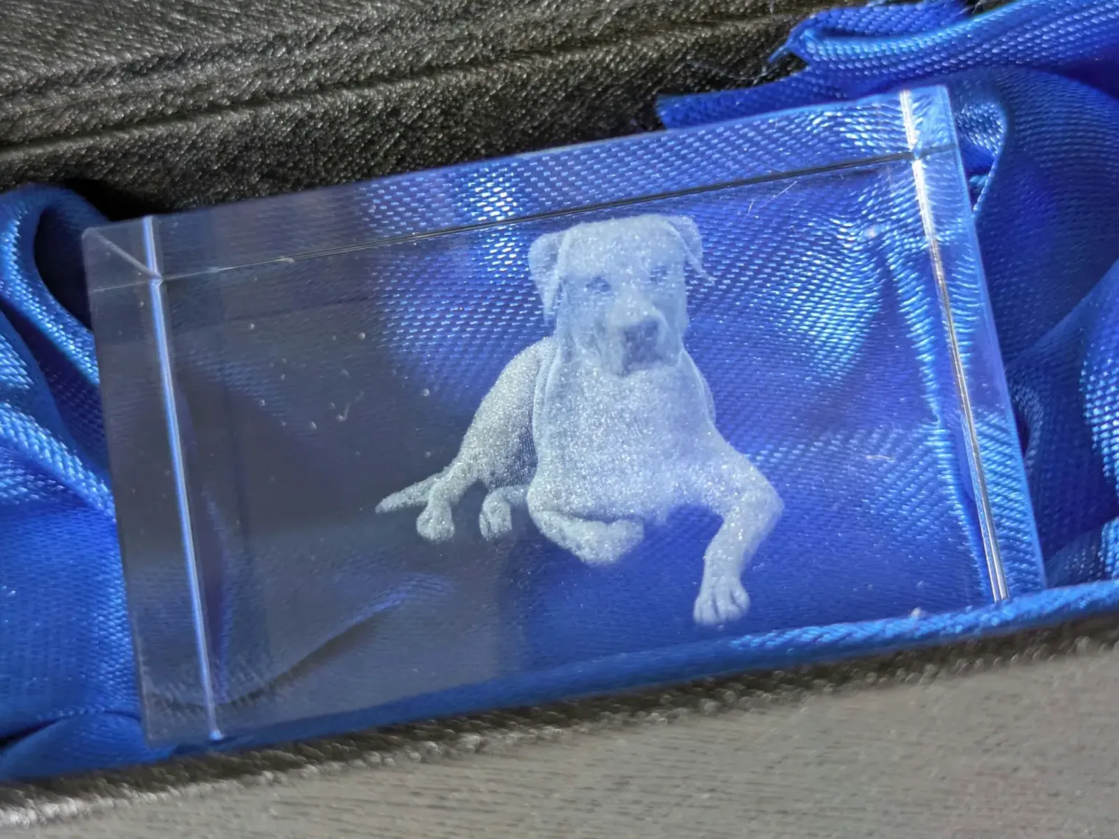 Krystal s vypáleným ležícím psem na modré látce.
